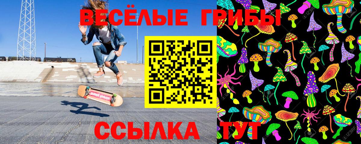 Галлюциногенные грибы Psilocybine cubensis Куйбышев