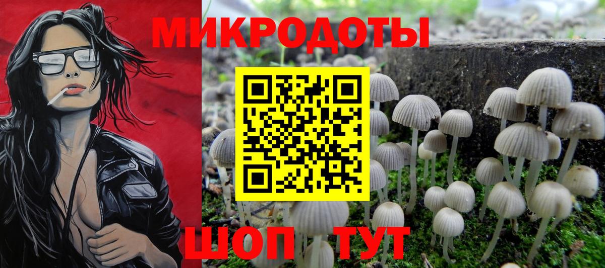 дарнет шоп  Вход с VPN  Куйбышев  Галлюциногенные грибы мицелий 